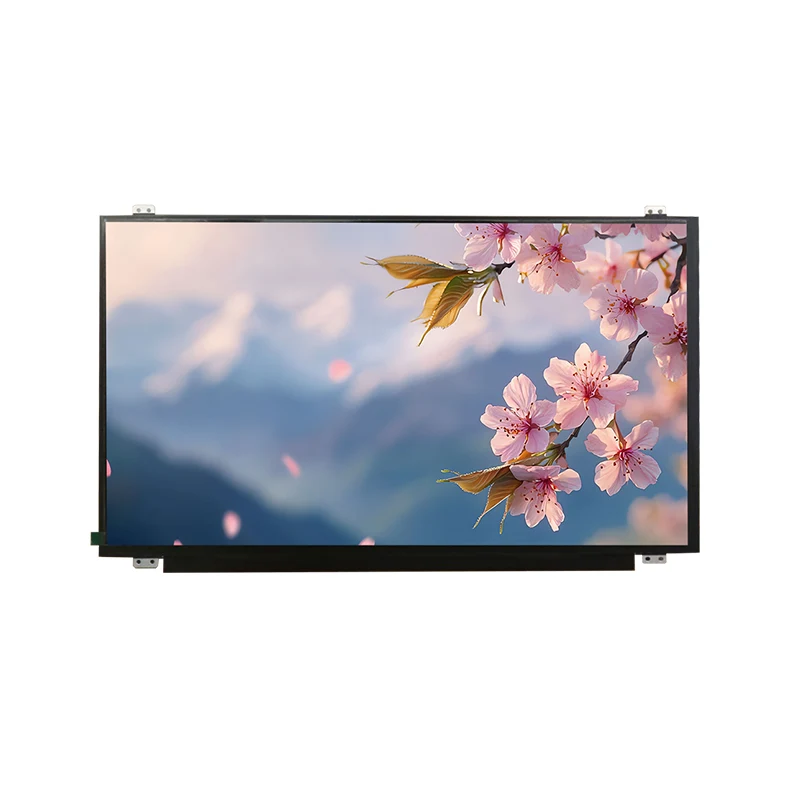 15,6 'HD -leveä lämpötila IPS TFT LCD -näyttömoduuli