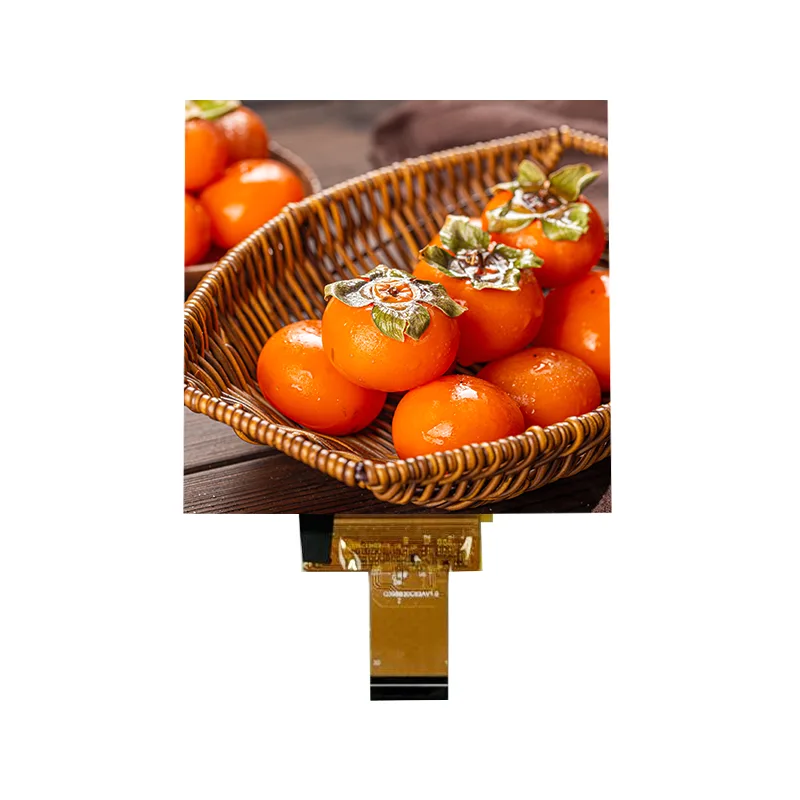 3,95 tuuman RGB480X480 häikäisemätön IPS-kosketusnäyttömoduuli 3,95 tuuman RGB480X480 häikäisemätön IPS-kosketusnäyttömoduuli