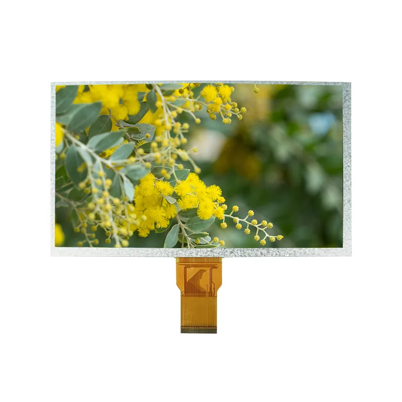 9,0 tuuman normaali valkoinen TFT IPS TFT LCD -näyttömoduuli 9,0 tuuman normaali valkoinen TFT IPS TFT LCD -näyttömoduuli